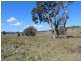 . Kildare Road, Tenterfield NSW 2372