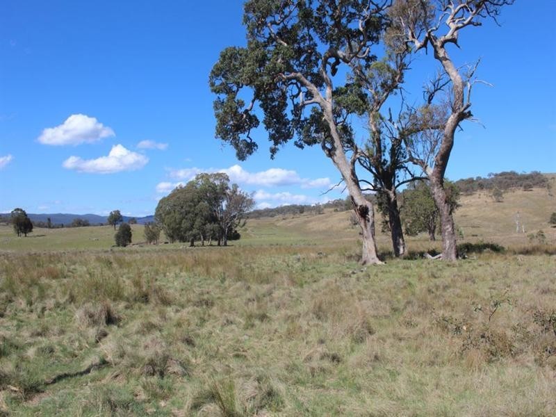 . Kildare Road, Tenterfield NSW 2372