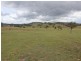 . Kildare Road, Tenterfield NSW 2372