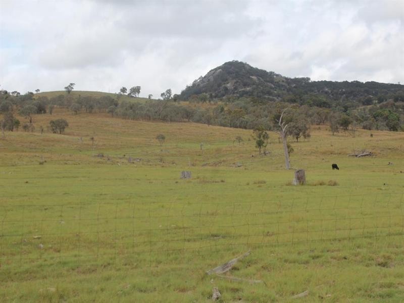 . Kildare Road, Tenterfield NSW 2372