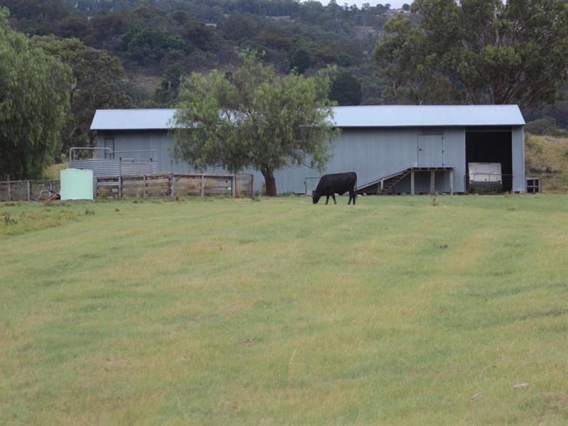 . Kildare Road, Tenterfield NSW 2372