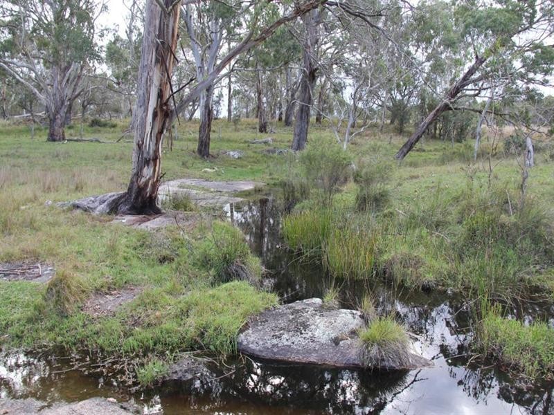 . Mt Lindesay Road, Liston NSW 2372