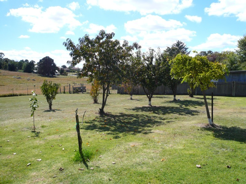 Tenterfield NSW 2372