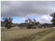 Tenterfield NSW 2372
