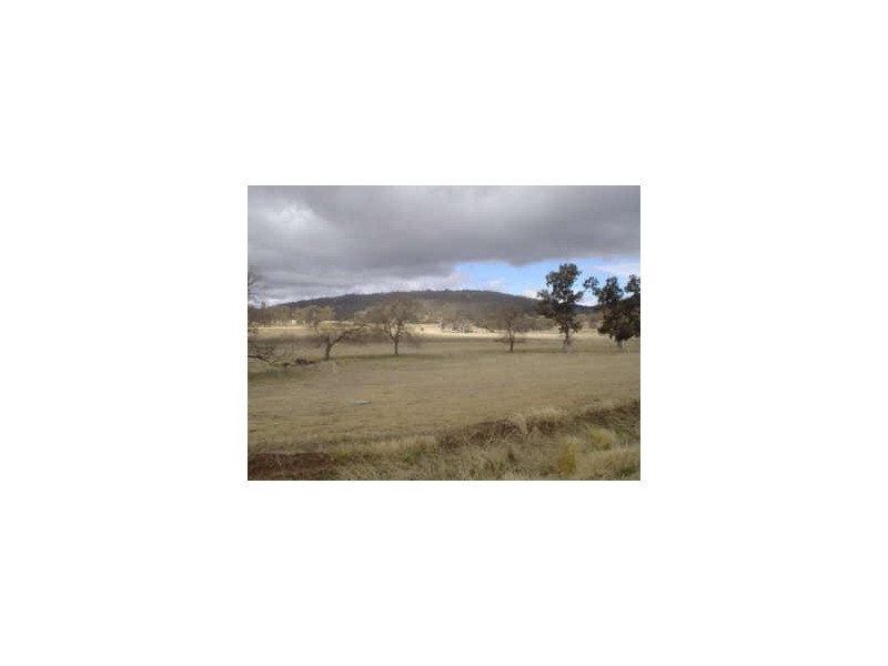 Tenterfield NSW 2372