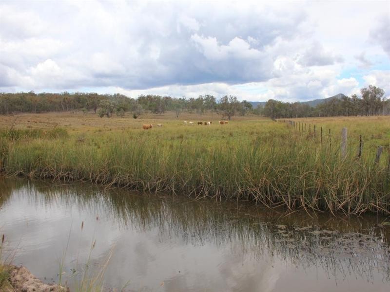 . Bruxner Highway, Tenterfield NSW 2372