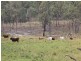 . Bruxner Highway, Tenterfield NSW 2372