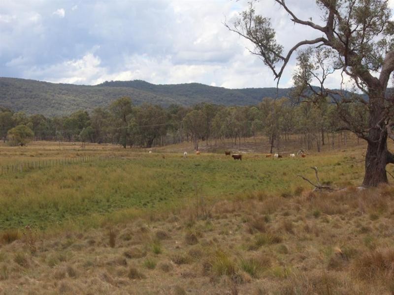 . Bruxner Highway, Tenterfield NSW 2372