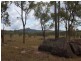 . Bruxner Highway, Tenterfield NSW 2372
