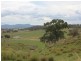 368 Bryans Gap Road, Tenterfield NSW 2372