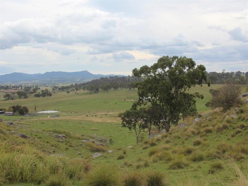 368 Bryans Gap Road, Tenterfield NSW 2372