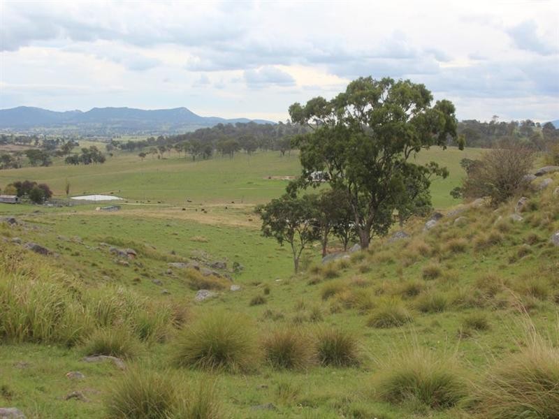 368 Bryans Gap Road, Tenterfield NSW 2372
