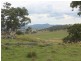 368 Bryans Gap Road, Tenterfield NSW 2372