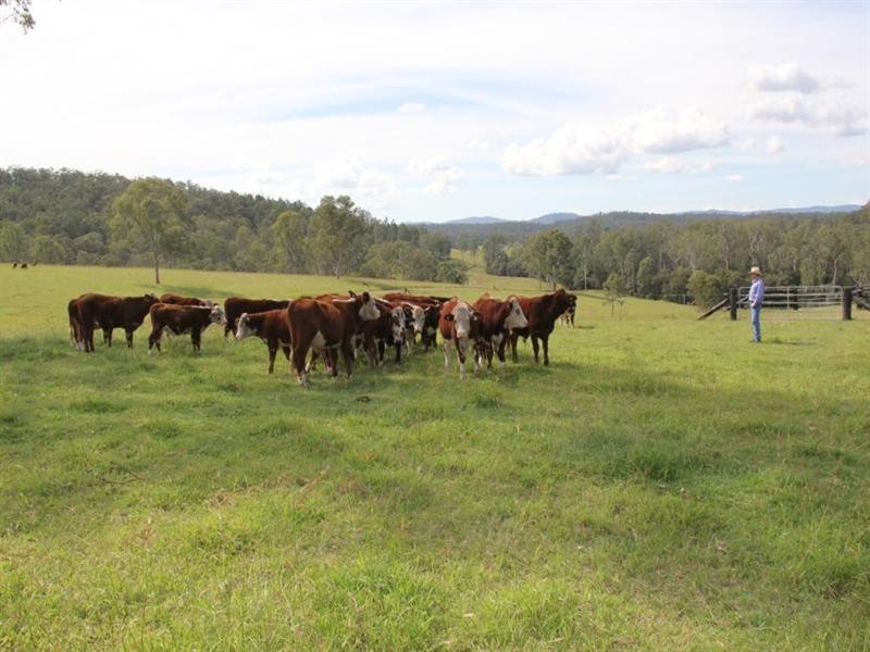 Burnbrae Rodgers Road, Tabulam NSW 2469