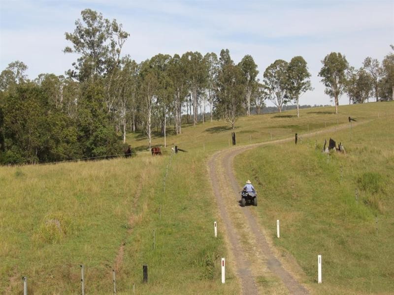 Burnbrae Rodgers Road, Tabulam NSW 2469