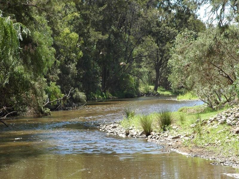 355C Springfield Road, Tenterfield NSW 2372