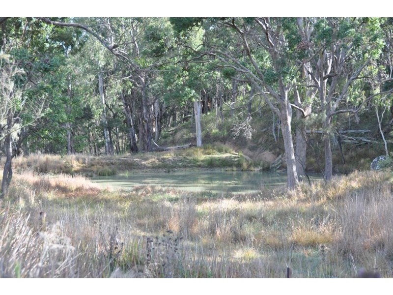 22 Bluff River Road, Tenterfield NSW 2372
