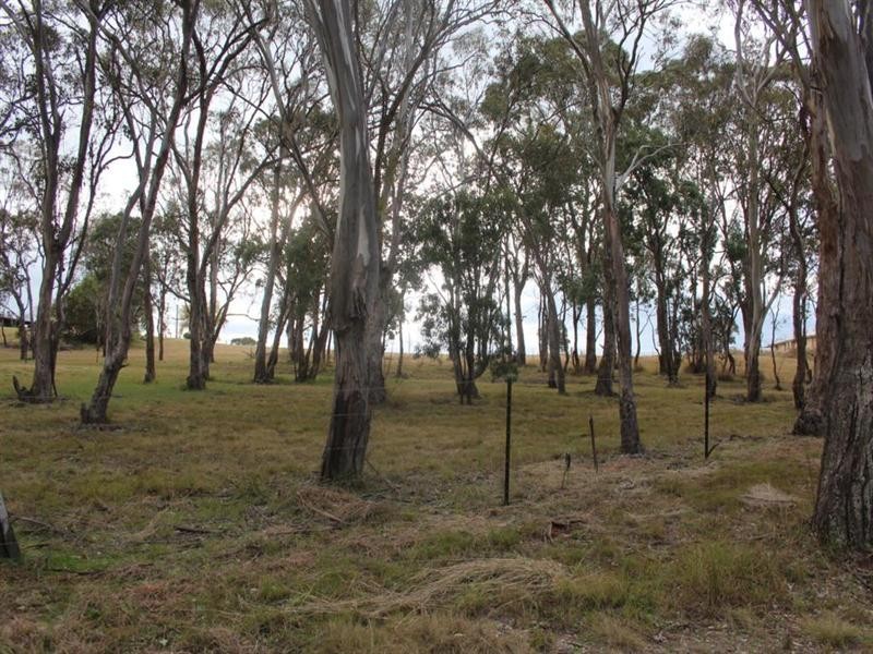 Lot 10 and 11 Ross Street, Jennings NSW 2372
