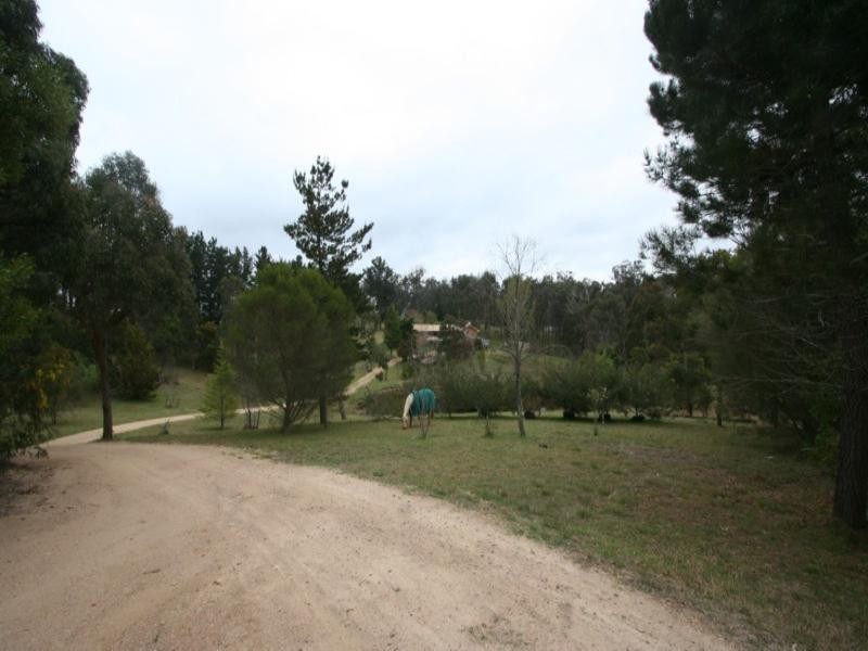 Tenterfield NSW 2372