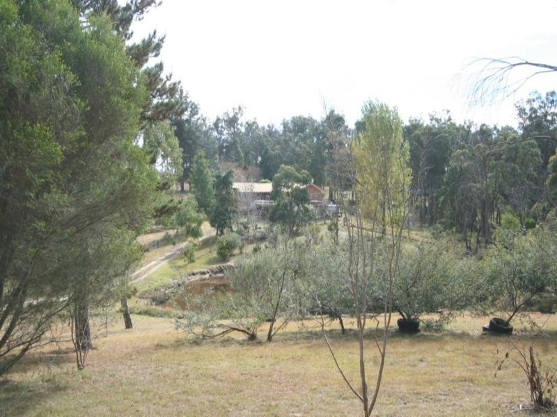 Tenterfield NSW 2372