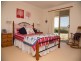 149 Bellevue Road, Tenterfield NSW 2372