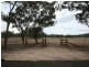 Lot 1 New England Highway, Ballandean QLD 4382