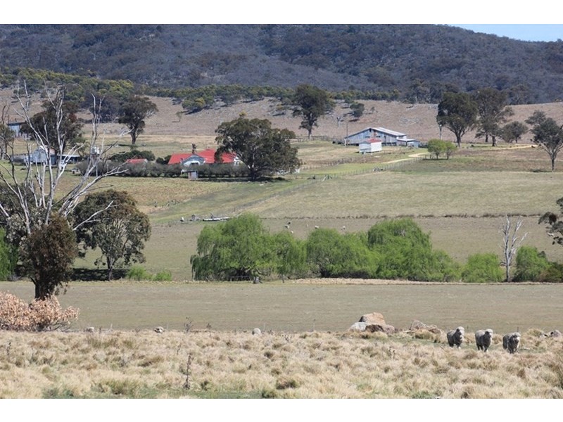 924A Kildare Road, Tenterfield NSW 2372