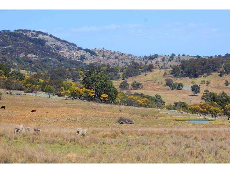 924A Kildare Road, Tenterfield NSW 2372