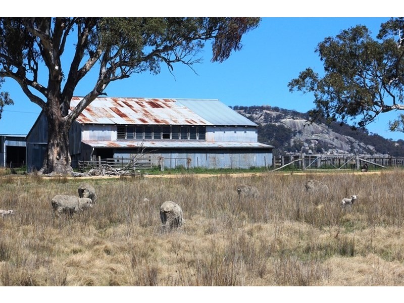 924A Kildare Road, Tenterfield NSW 2372