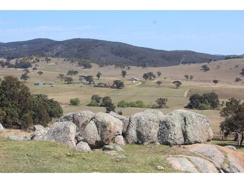 924A Kildare Road, Tenterfield NSW 2372