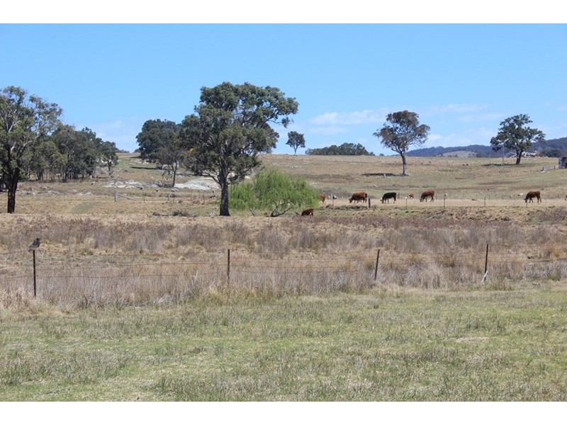 924A Kildare Road, Tenterfield NSW 2372