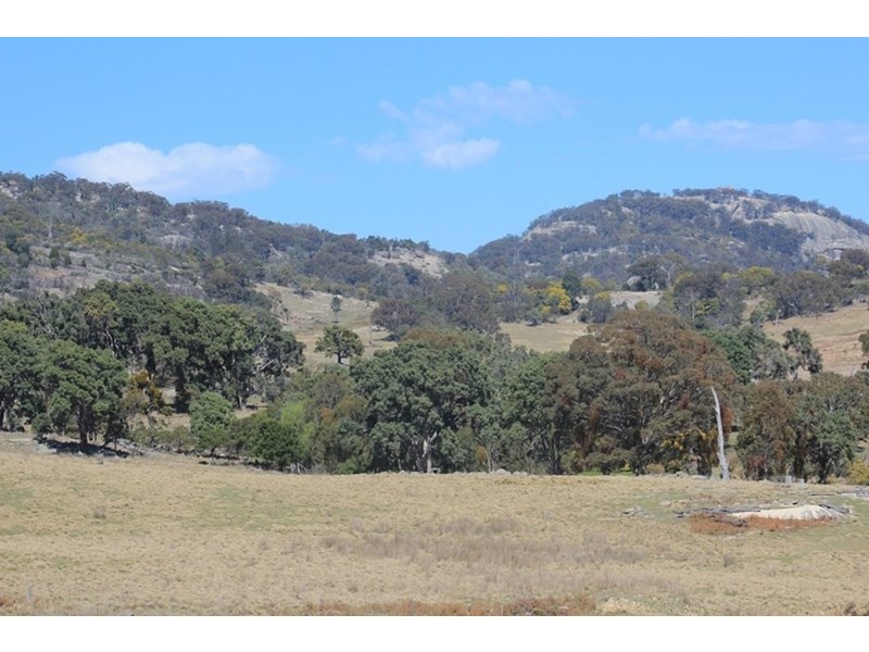 924A Kildare Road, Tenterfield NSW 2372