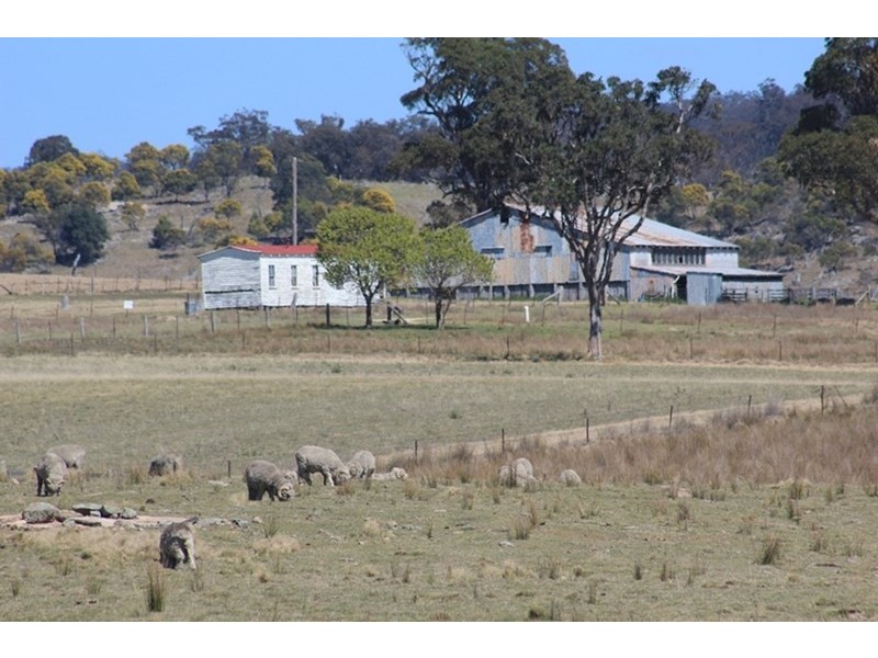 924A Kildare Road, Tenterfield NSW 2372