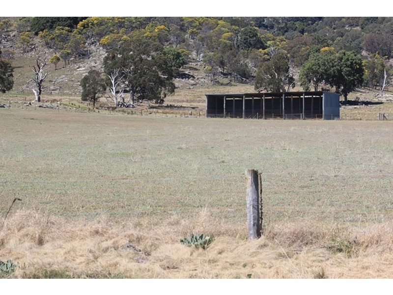 924A Kildare Road, Tenterfield NSW 2372