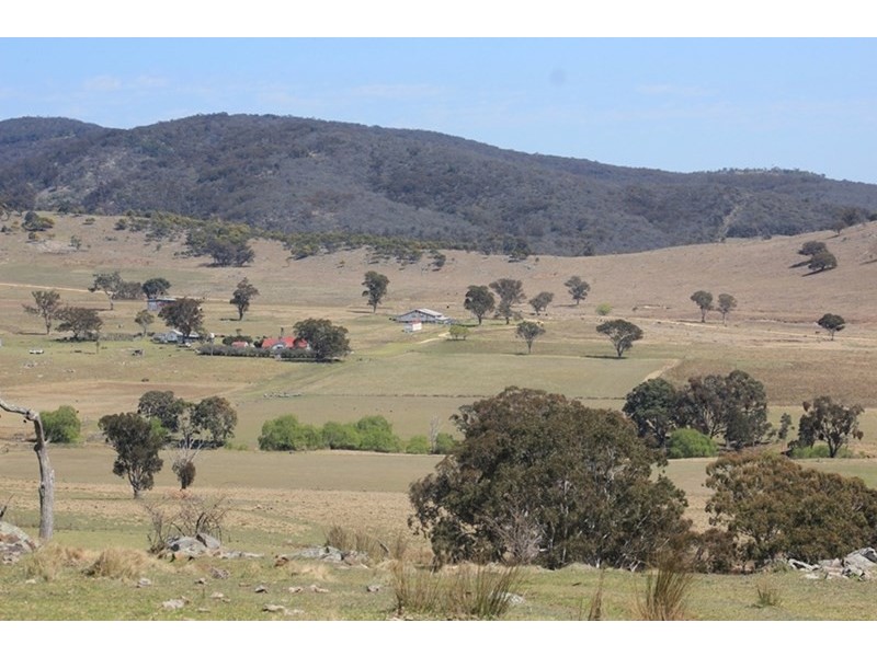 924A Kildare Road, Tenterfield NSW 2372