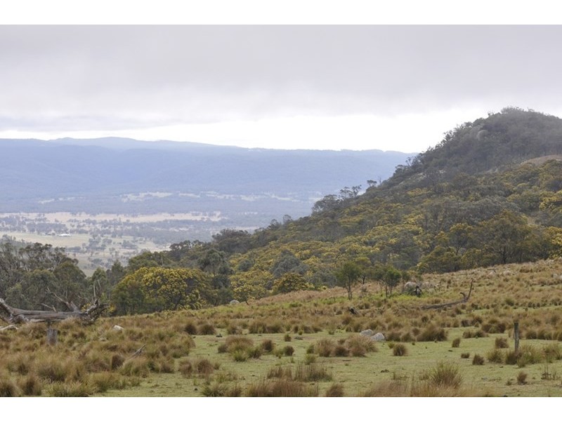 924A Kildare Road, Tenterfield NSW 2372