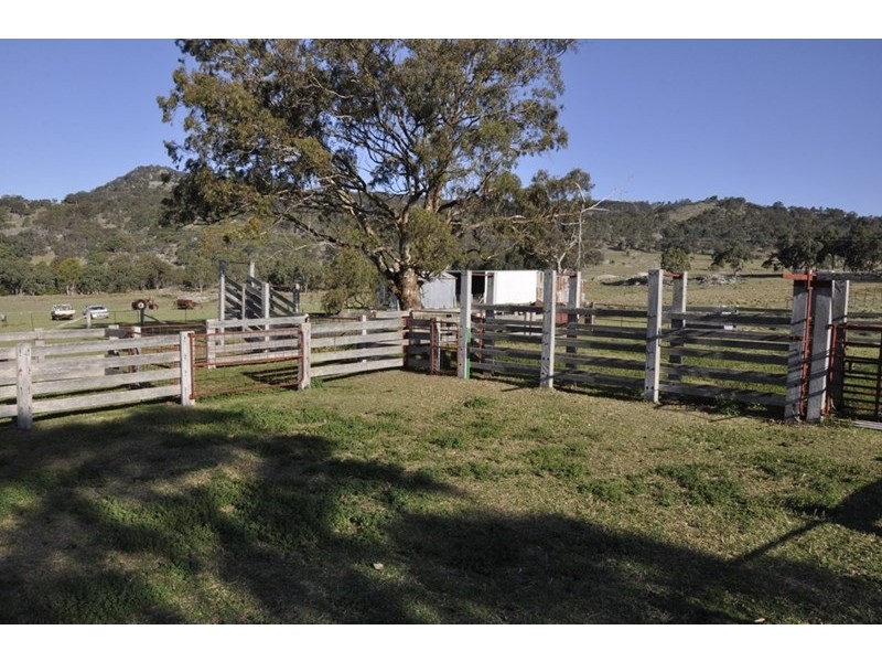 924A Kildare Road, Tenterfield NSW 2372