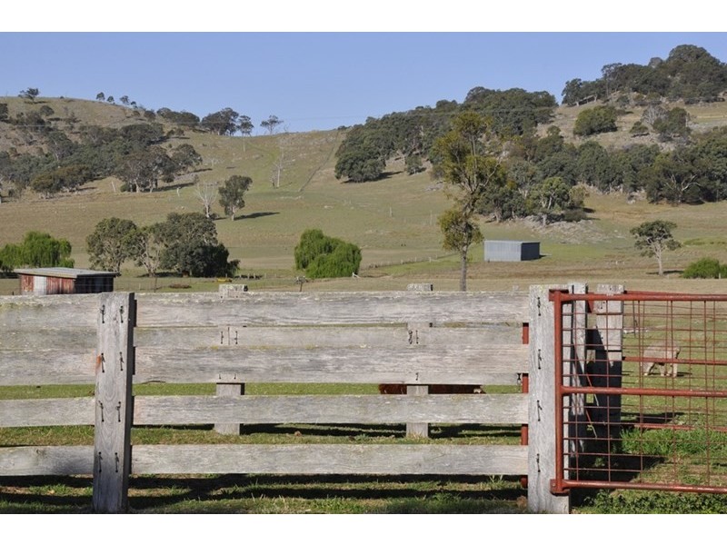 924A Kildare Road, Tenterfield NSW 2372