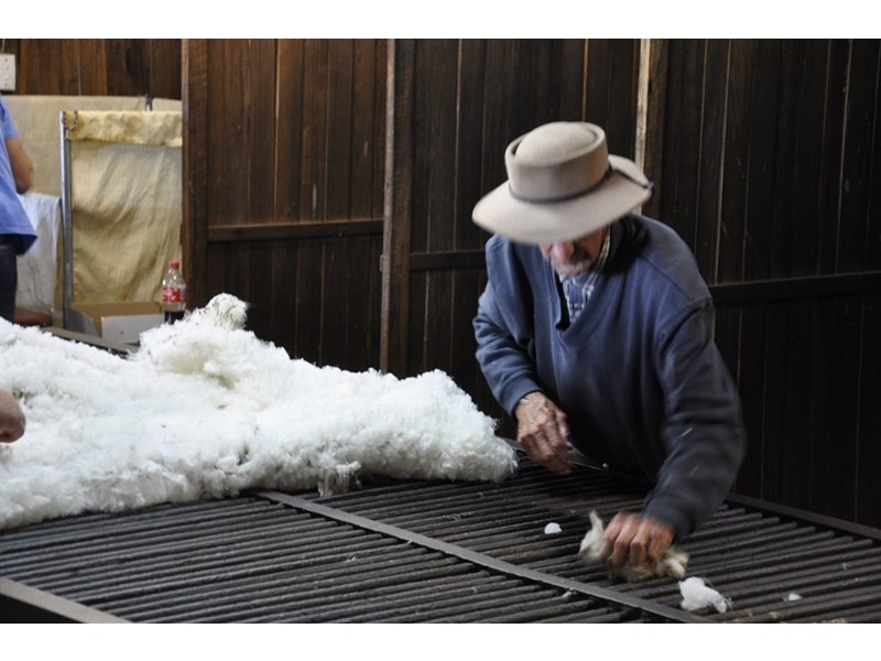 924A Kildare Road, Tenterfield NSW 2372