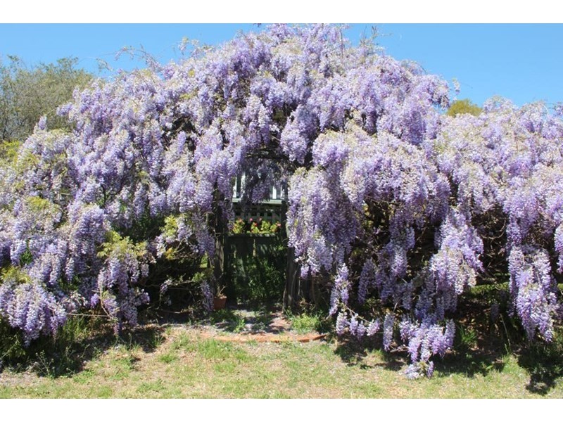 93 Rayleigh Street, Wallangarra QLD 4383