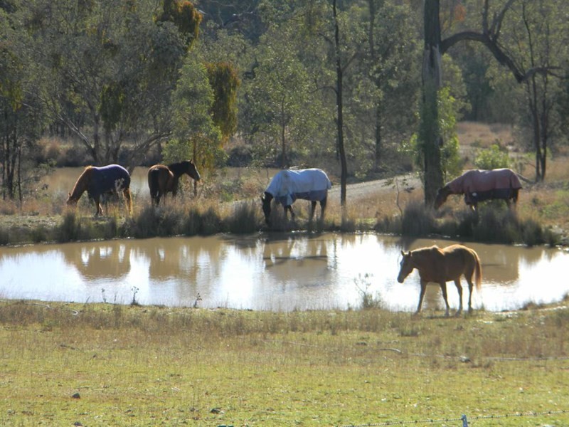 62 Mountain Creek Road, Tenterfield NSW 2372