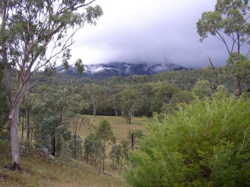 77 Rivertree Road, Tenterfield NSW 2372