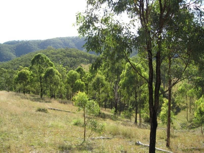 77 Rivertree Road, Tenterfield NSW 2372