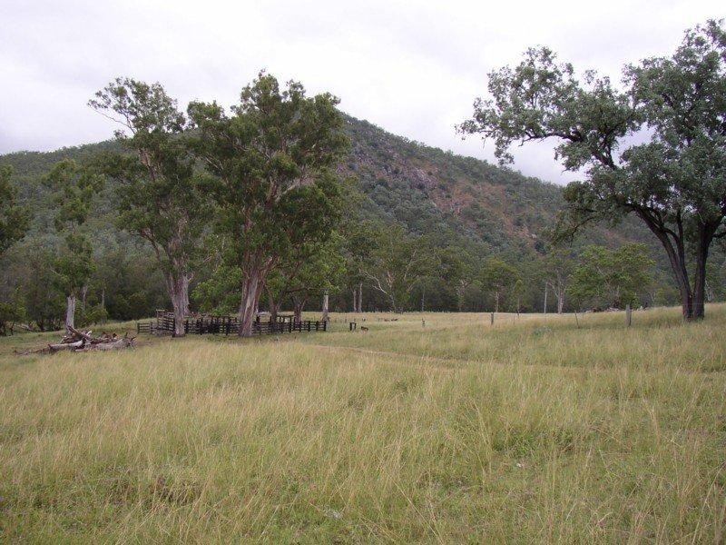 77 Rivertree Road, Tenterfield NSW 2372