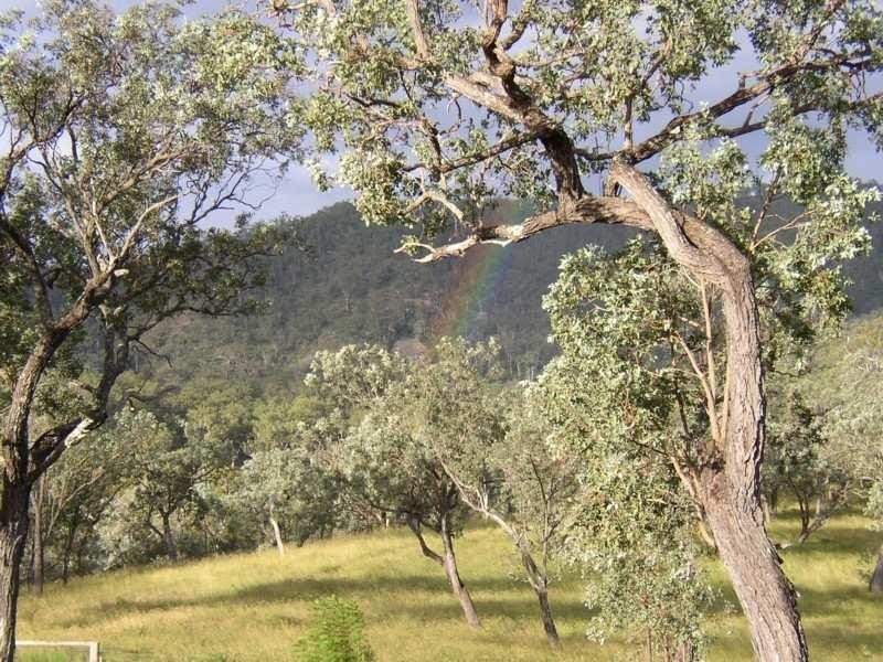 77 Rivertree Road, Tenterfield NSW 2372