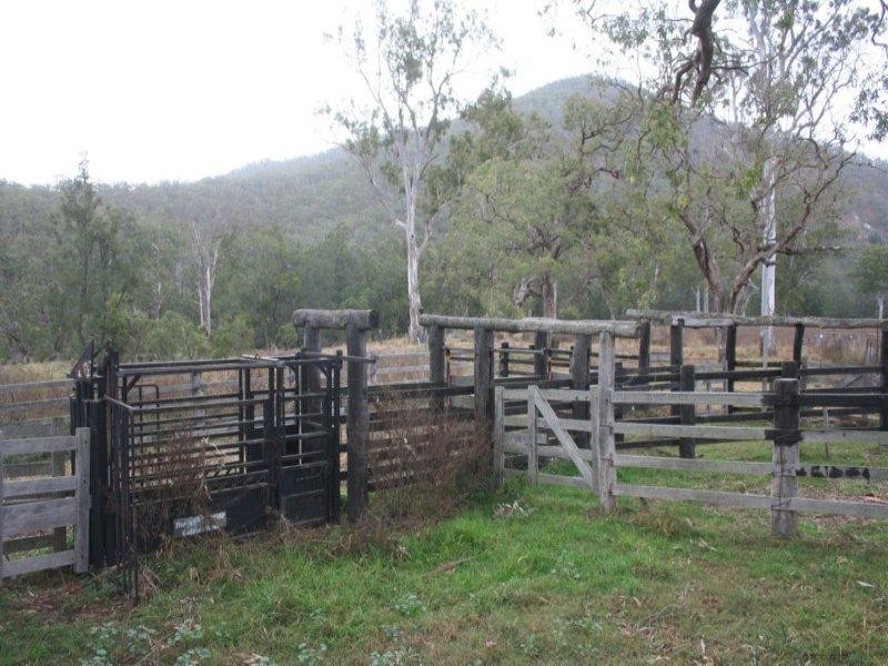 77 Rivertree Road, Tenterfield NSW 2372