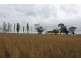 315 Mt Lindesay Road, Tenterfield NSW 2372