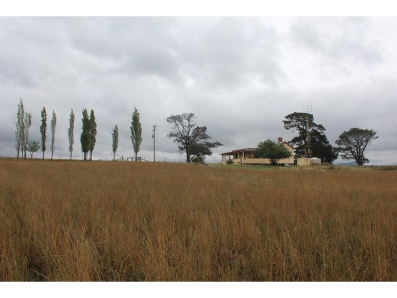 315 Mt Lindesay Road, Tenterfield NSW 2372
