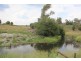 315 Mt Lindesay Road, Tenterfield NSW 2372