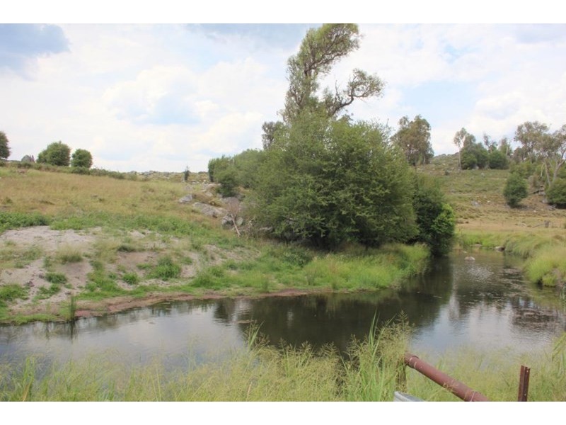 315 Mt Lindesay Road, Tenterfield NSW 2372